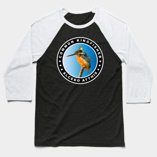 Fat Common Kingfisher (Alcedo Atthis) Bird Baseball T-Shirt